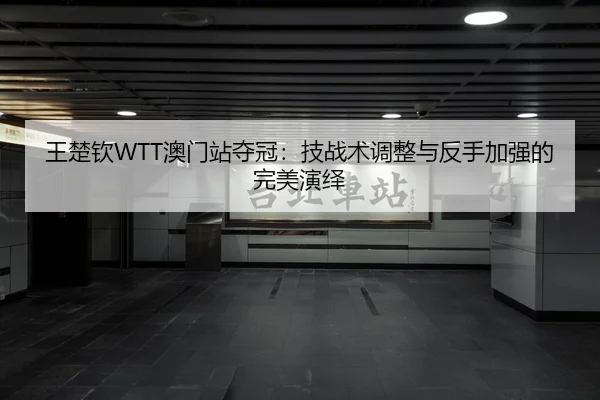 王楚钦WTT澳门站夺冠：技战术调整与反手加强的完美演绎