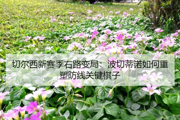 qie-er-xi-xin-sai-ji-you-lu-bian-ju-bo-qie-di-nuo-ru-he-zhong-su-fang-xian-guan-jian-qi-zi-2-514.jpg