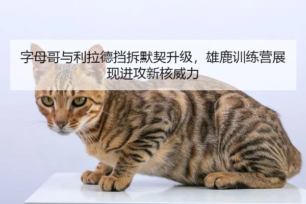 zi-mu-ge-yu-li-la-de-dang-chai-mo-qi-sheng-ji-xiong-lu-xun-lian-ying-zhan-xian-jin-gong-xin-he-wei-li-2-178.jpg