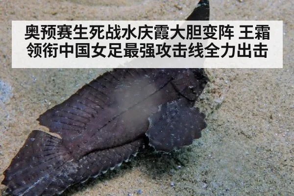 奥预赛生死战水庆霞大胆变阵 王霜领衔中国女足最强攻击线全力出击