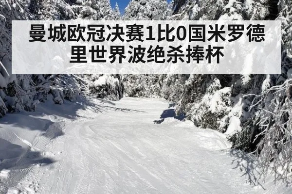曼城欧冠决赛1比0国米罗德里世界波绝杀捧杯
