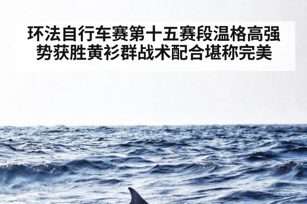 环法自行车赛第十五赛段温格高强势获胜黄衫群战术配合堪称完美